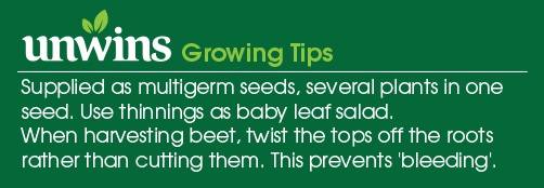 Beetroot Boltardy Seeds Unwins Growing Tips